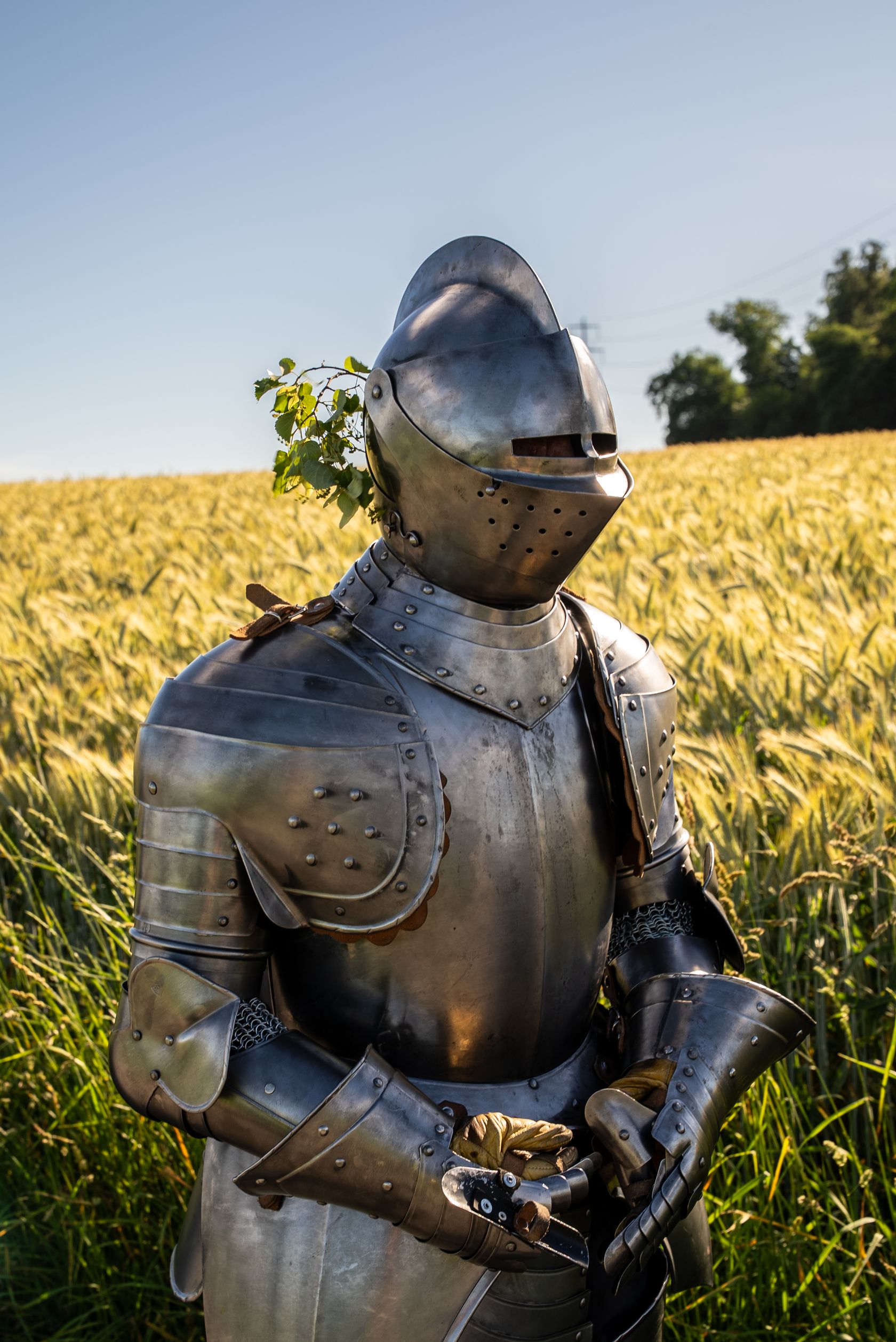 Le chevalier errant : de la prairie du Grütli à Fribourg - Performance June 11th &mdash; 22nd, 2026