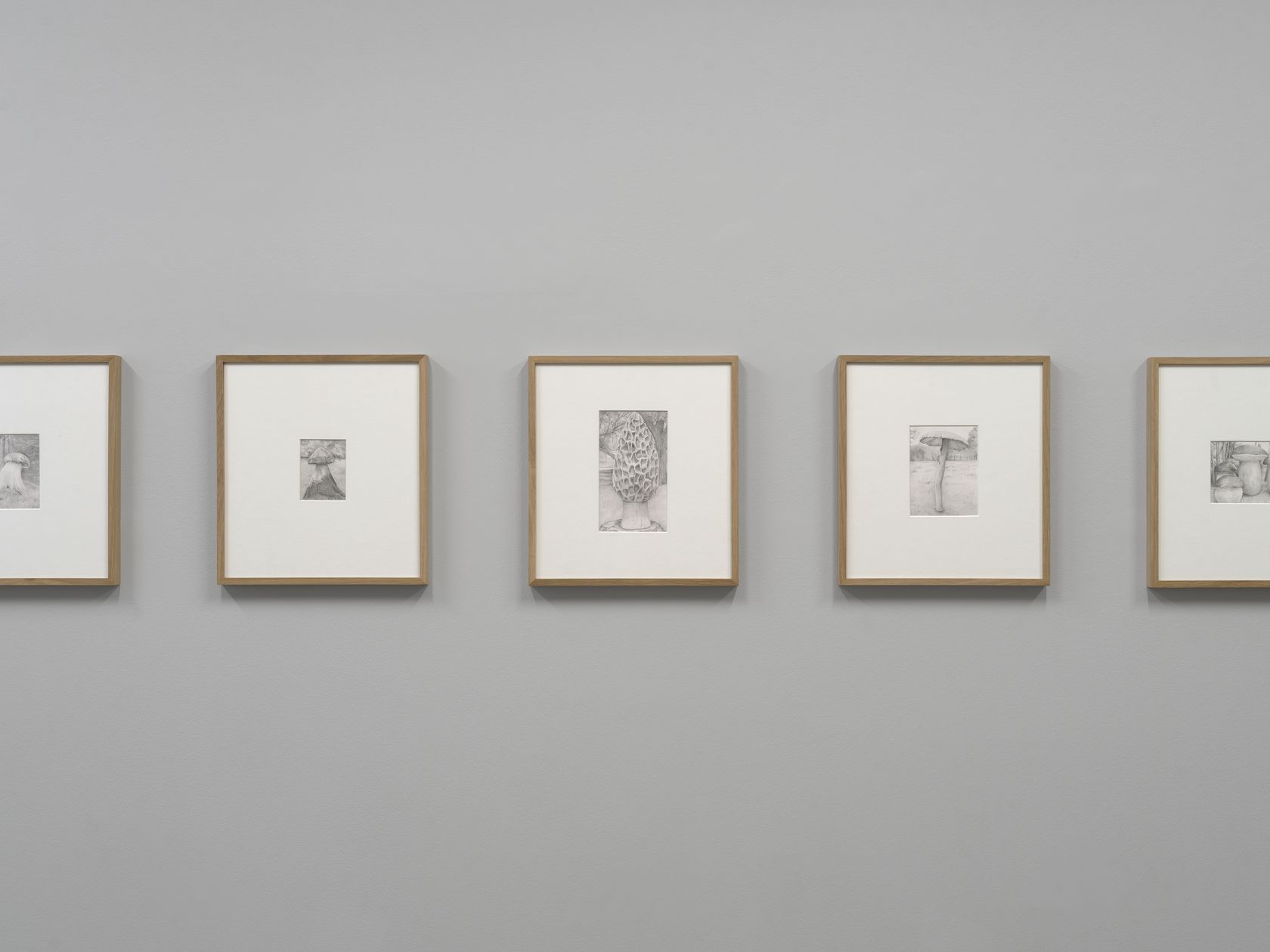 Les animaux January 10th &mdash; March 7th, 2026