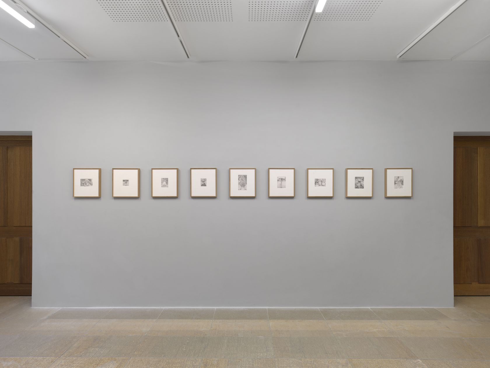 Les animaux January 10th &mdash; March 7th, 2026