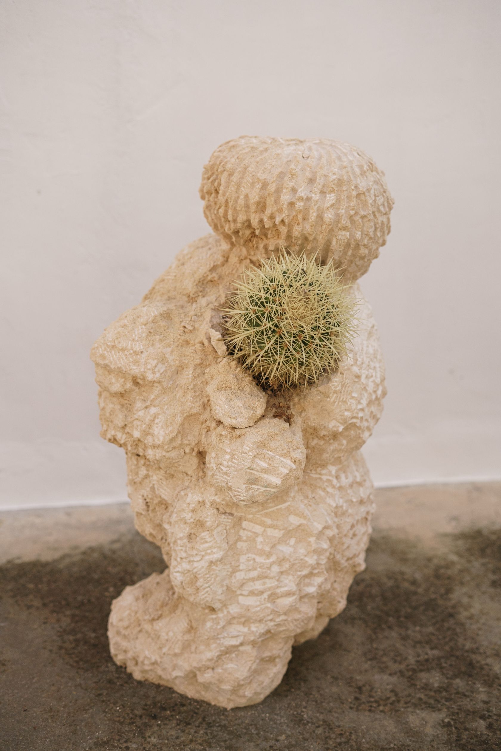 Sculpture Garden December 1st, 2024 &mdash; January , 2026
