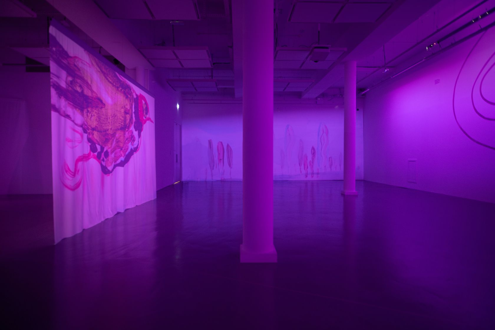 Sur un os June 21st &mdash; November 2nd, 2025