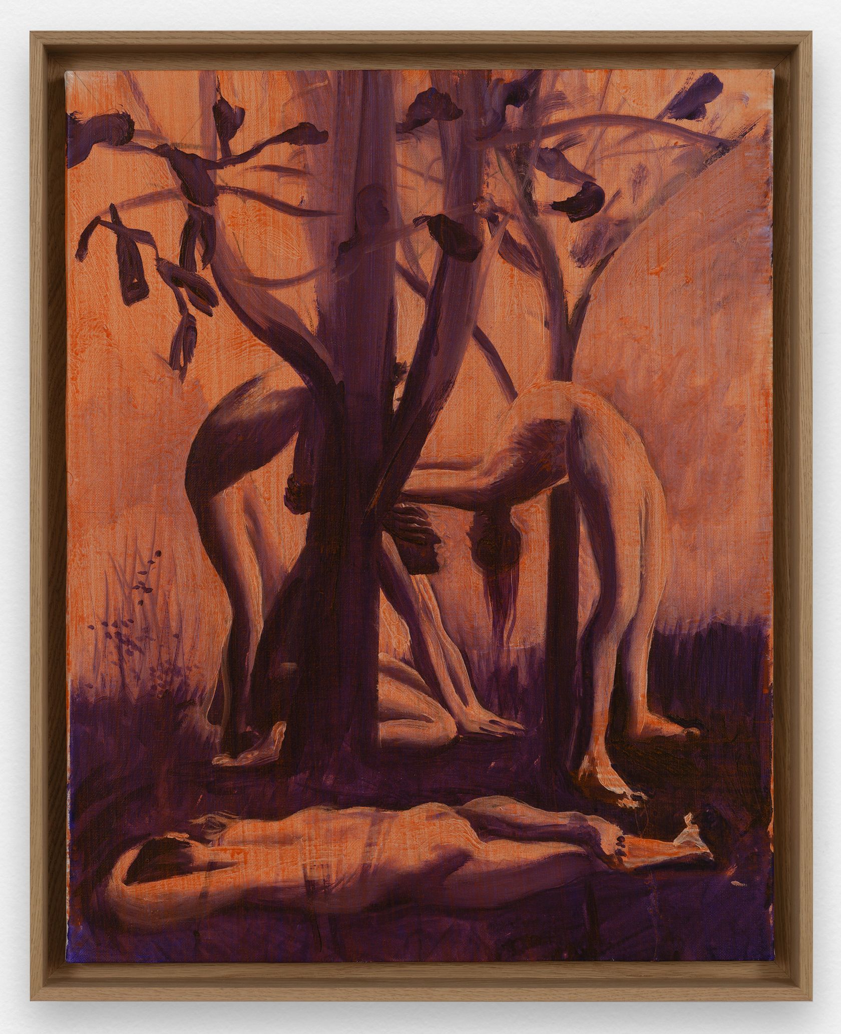 To je to! / That's what's up! November 22nd, 2024 &mdash; January 25th, 2025