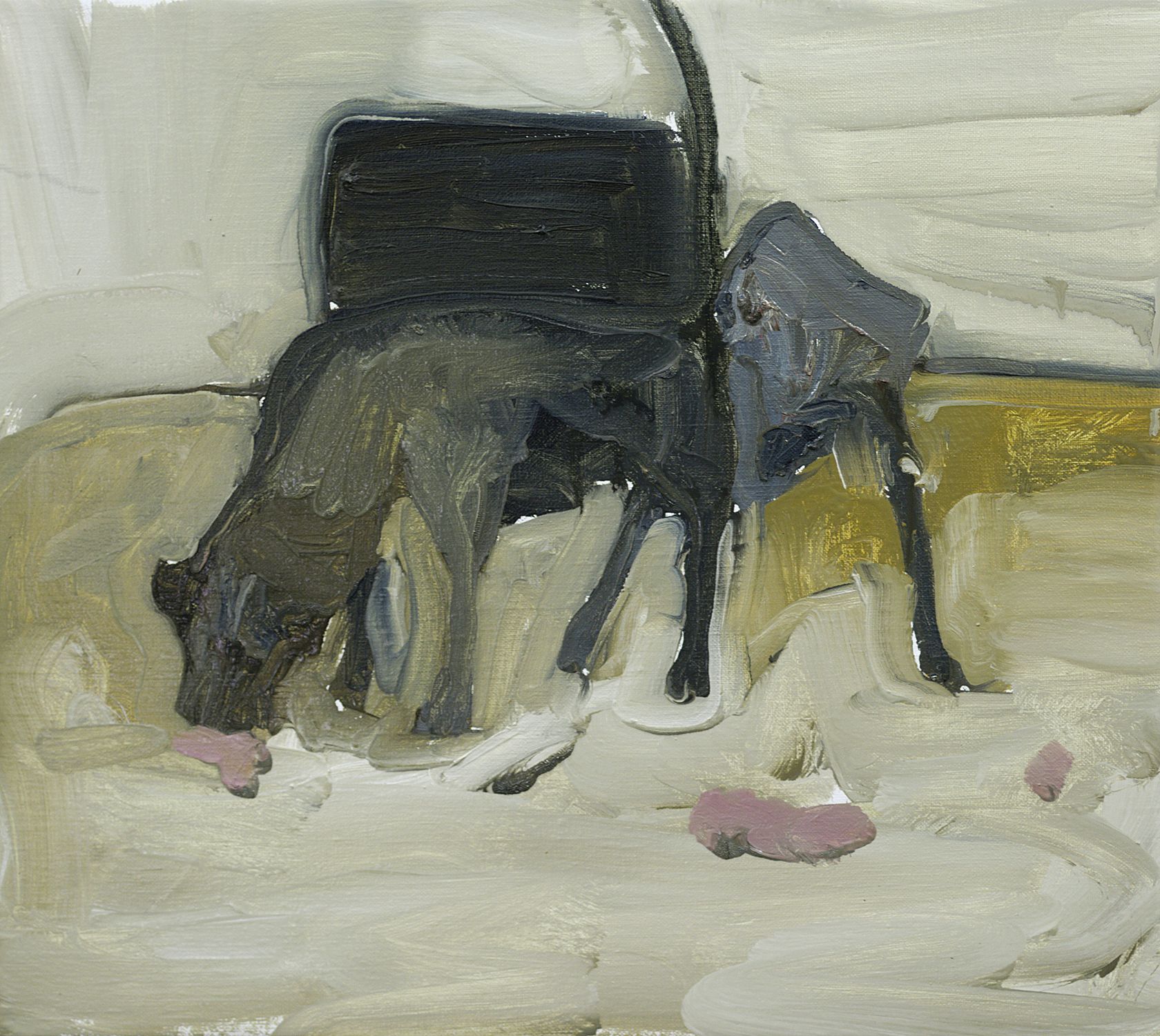 Dogs