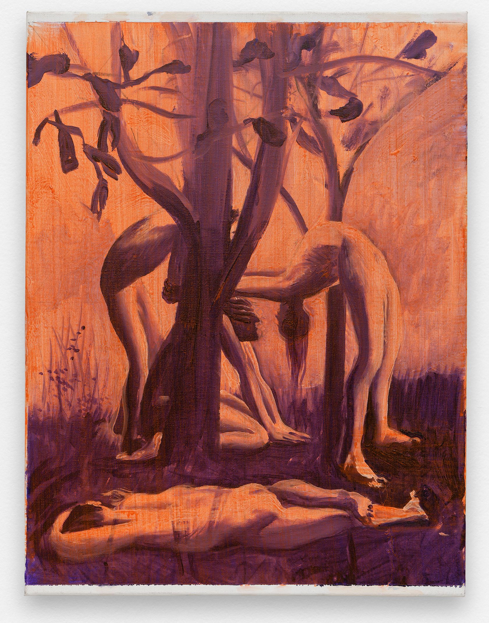 FRIEZE June 1st — August 29th, 2024
