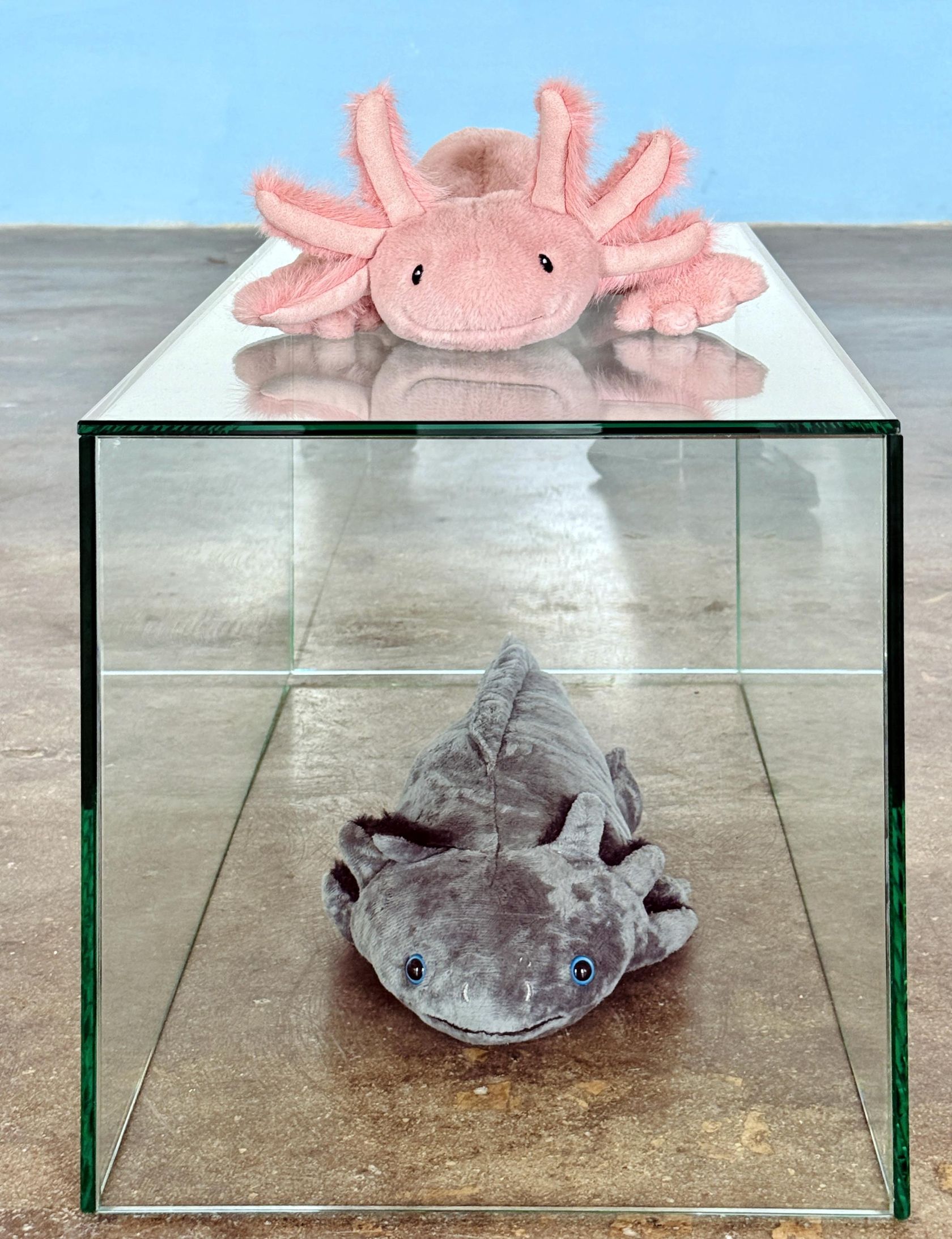 Malta Biennale 2026