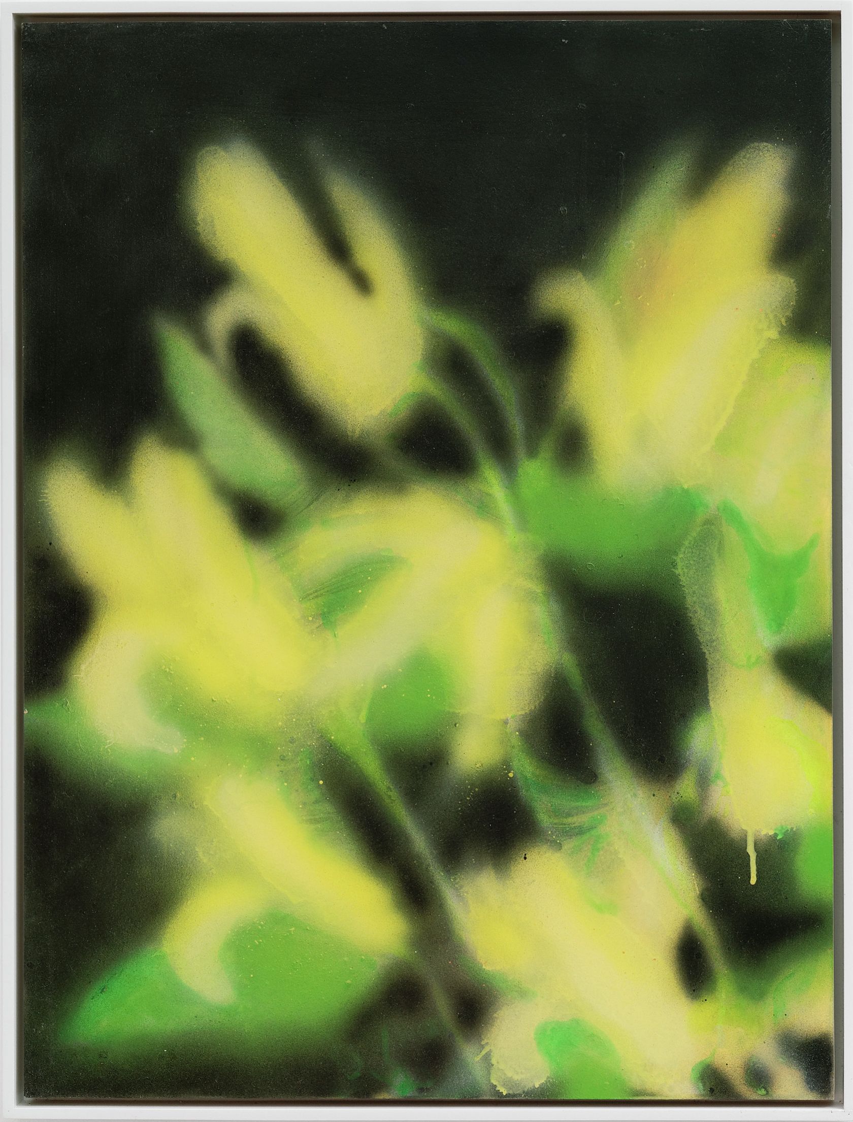 Kevin Ford, Lemon Flowers, 2019 Acrylique sur panneau61 × 46 cm / 24 × 18 in.