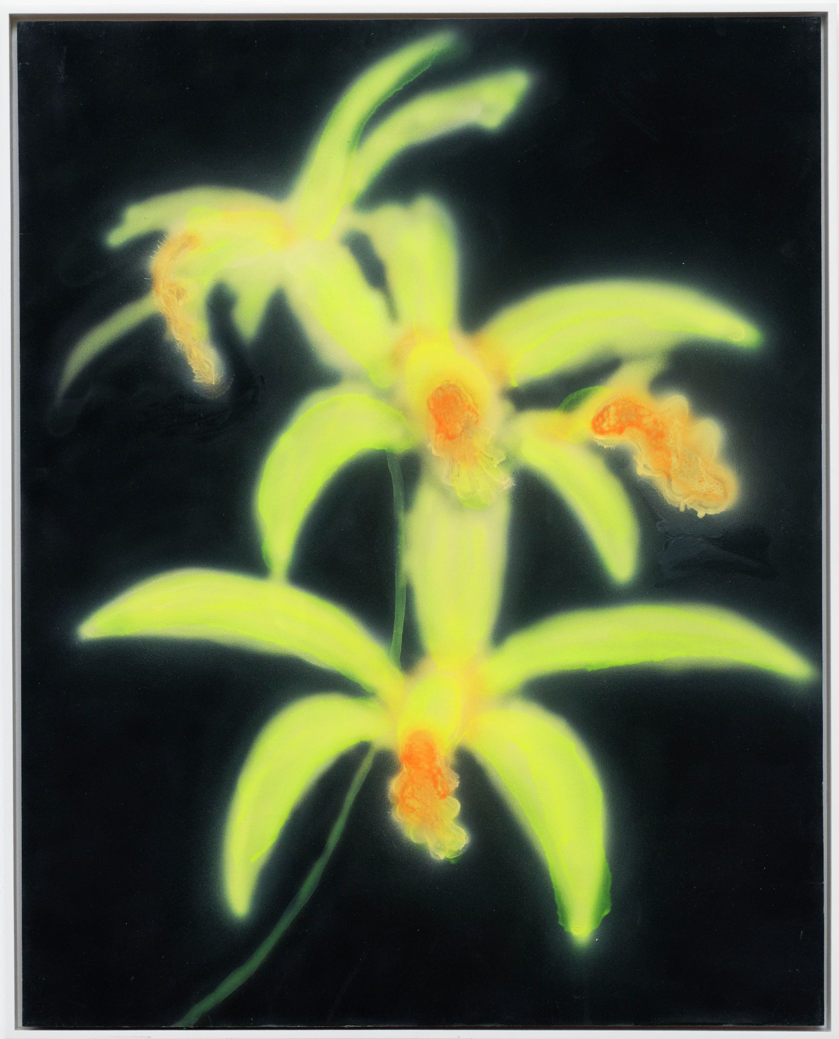 Kevin Ford, Banana Orchid, 2019 Acrylique sur panneau76 × 61 cm / 30 × 24 in. | 79 × 63.2 × 4 cm / 31 1/8 × 24 7/8 × 1 5/8 in. (encadré/framed)