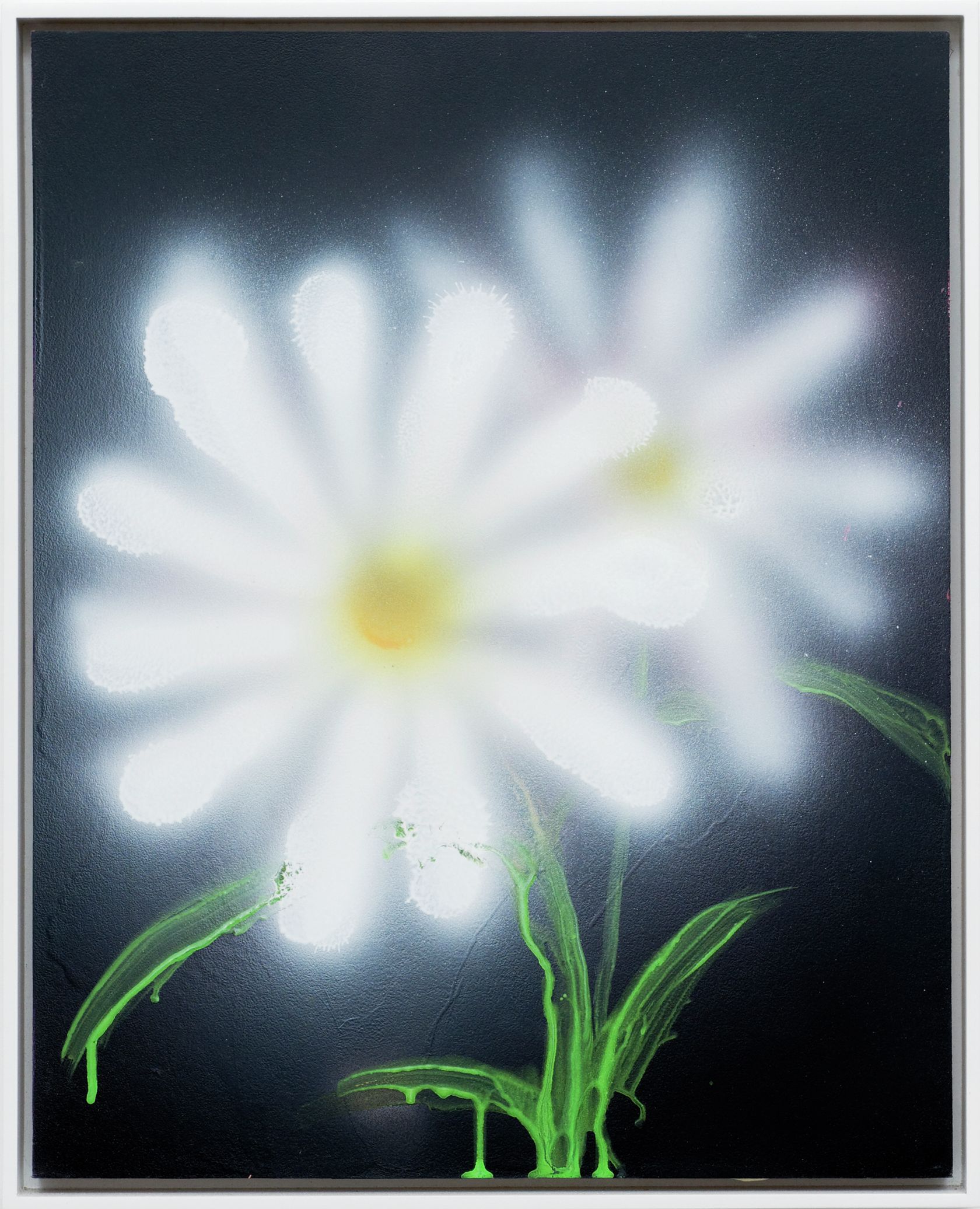 Kevin Ford, Daisies, 2020 Acrylique sur panneau51 × 41 cm / 20 × 16 in. | 53 × 43 cm / 20 7/8 × 16 7/8 in. (encadré/framed)