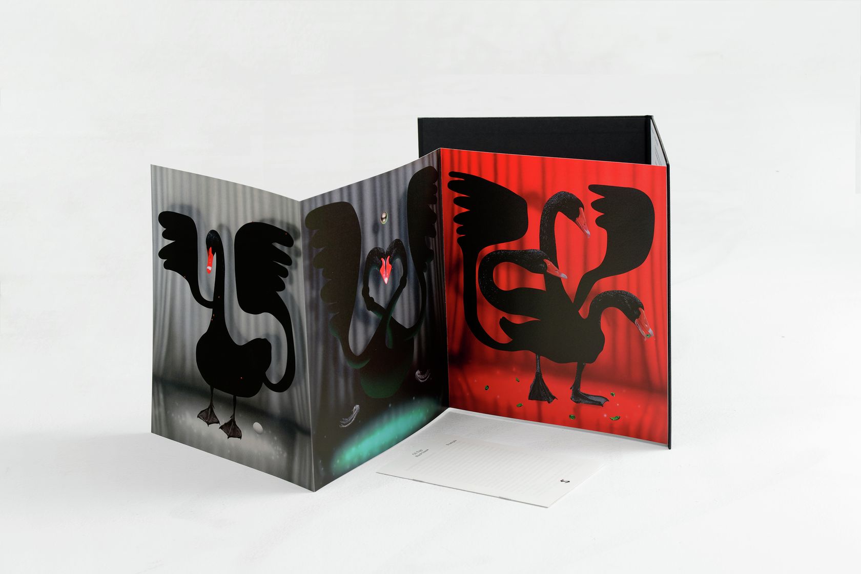 Oli Epp, Black Swan, 2020 Leporello de 7 pages, couverture cartonnée et insert d’un carnet broché de 24 pages28 × 25 cm / 11  × 9 7/8 in.